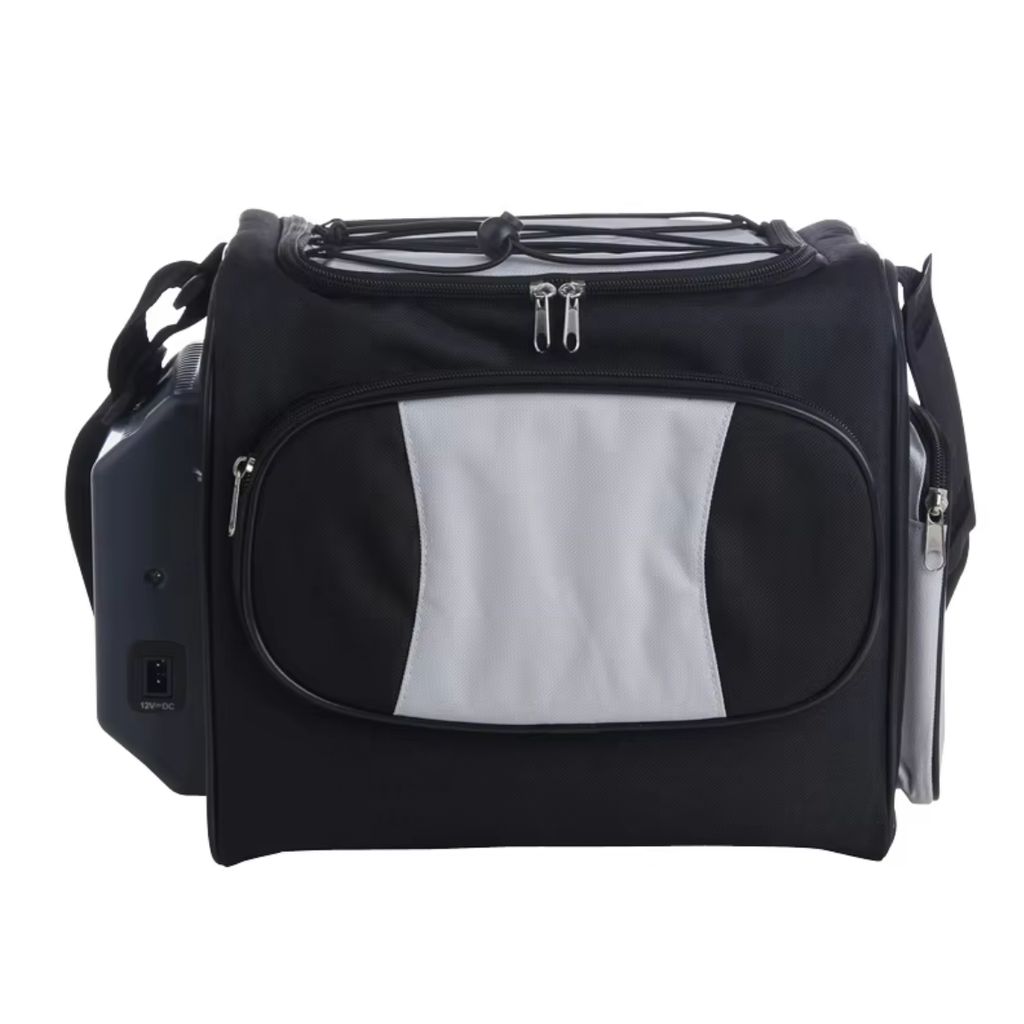 DC 12 Volt Portable Mini Cooler Bag Soft-Sided Thermoelectric Cooler Warmer for Car Hotel Outdoor Adventures New Condition