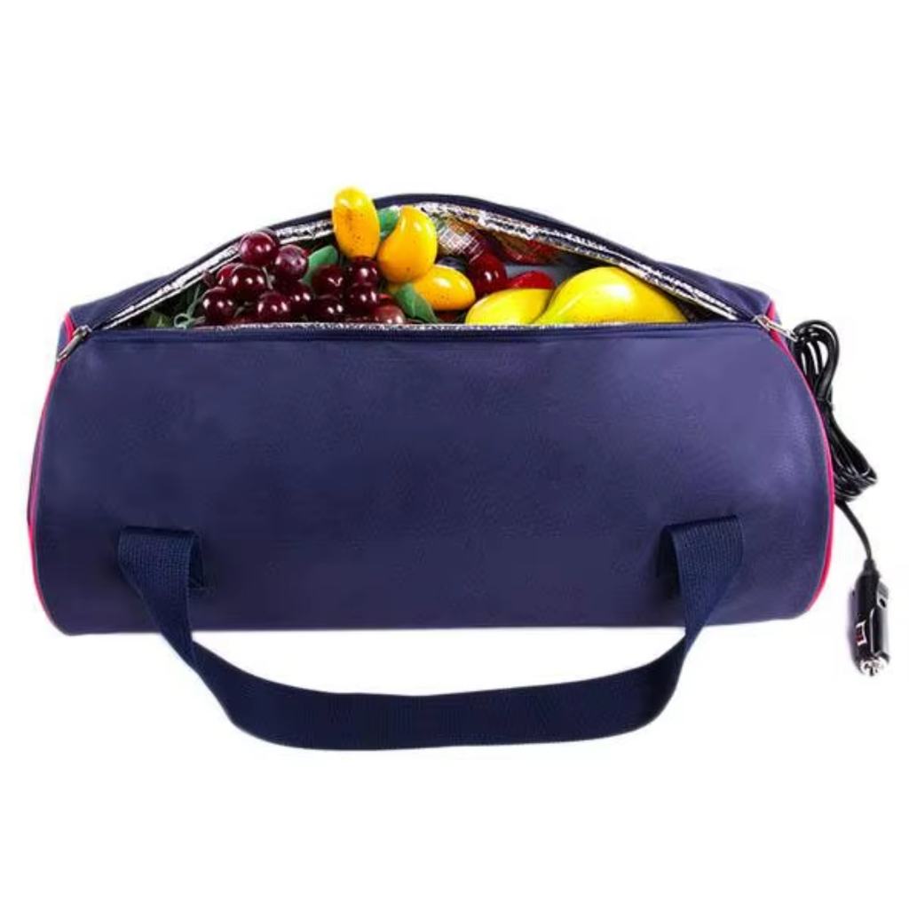Portable 110V Radio Cooler Bag Wireless Speakers New Insulated Plastic Thermoelectric Household Garage Car Outdoor Application
